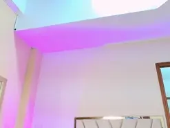 Amateur Watch Live Sex Cams of JupiterFox