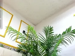 Amateur Free Live Porn of Celeste_cortes