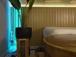 Amateur Best Webcam of nina_soul