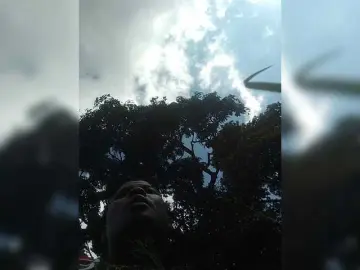 Bongacams Sex Cam of bigcaunts