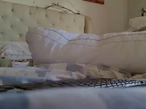 Cam4 Adult Webcam of overmydaddbody