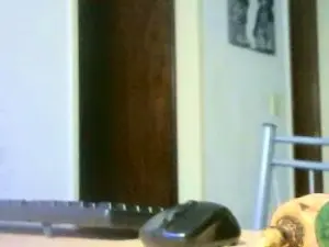 Cam4 Adult Webcams of divinaporvos