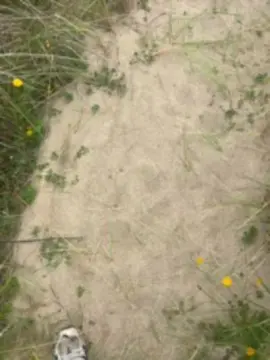 Cam4 Sex Cam of Muludu