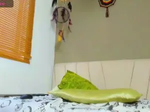 Cam4 Live Porn of devon_dice