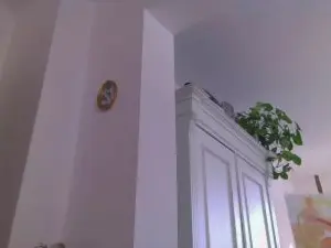 Cam4 Live Sex of camtwocam
