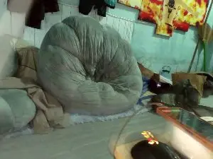 Cam4 Adult Webcam of Hwanghonghae