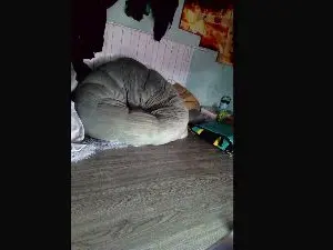 Cam4 Live Porn of Hwanghonghae