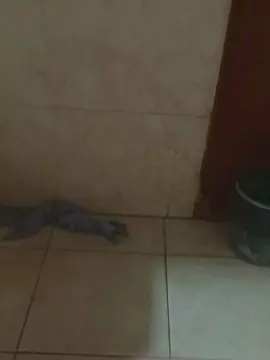 Cam4 Sex Cam of fede_hot4