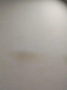 Cam4 Watch Live Sex Cams of tonytuga