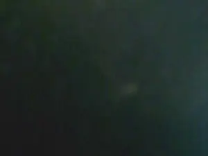 Cam4 Best Webcam of LauPet_Nacho