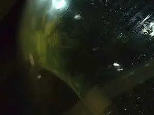 Cam4 Nude Webcam of beard_man_sexy