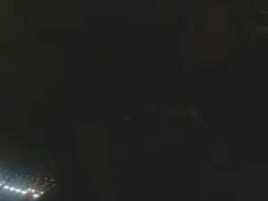 Cam4 Free Porn Cam of HairyHulk