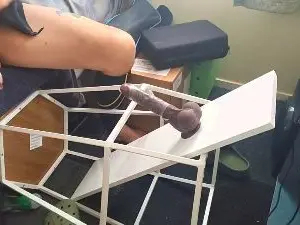 Cam4 Private Sex Chat of Fresh_boiPussy