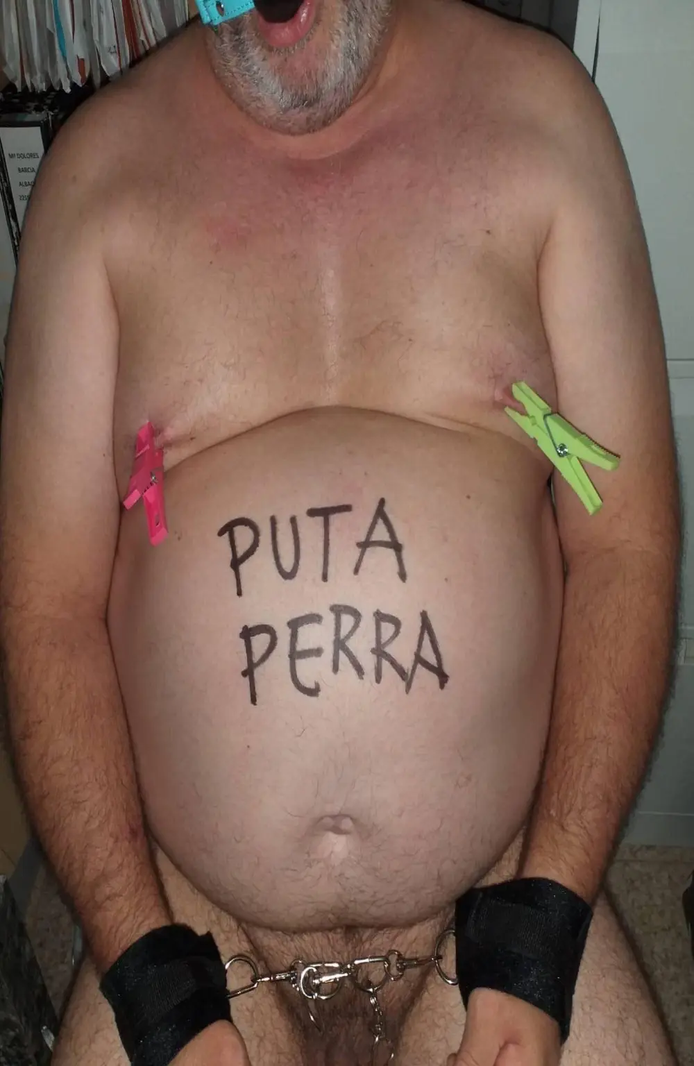Minipollasumiso