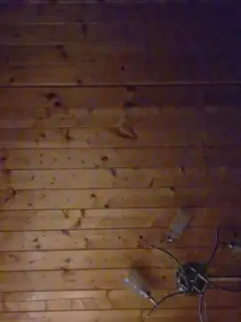 Cam4 Live Porn of olegpol