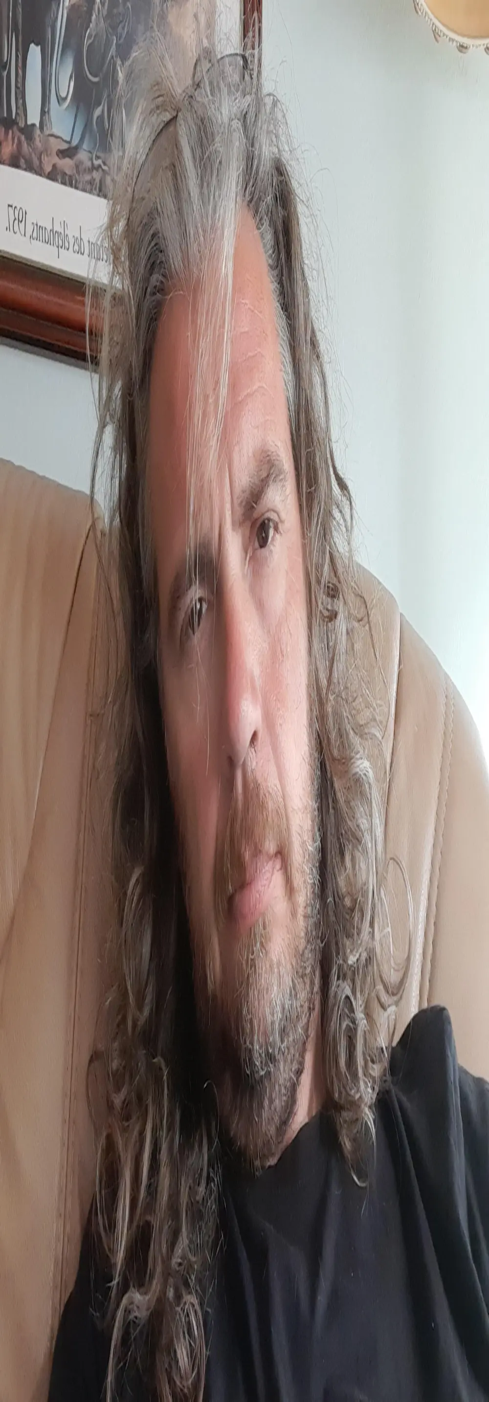 rantanplan5