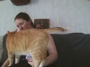 Cam4 Live Sex of hotwife2026