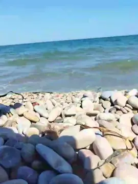 Cam4 Free Porn Cam of delfin1111