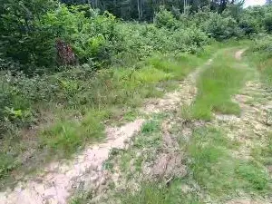 Cam4 Live Sex of remi06