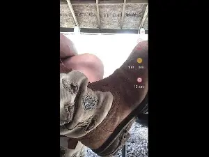Cam4 Live Sex of Countryjoe2002