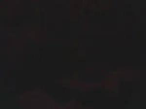 Cam4 Live Porn of lishrimpdick