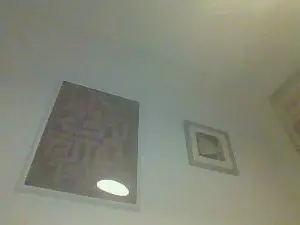 Cam4 Adult Webcam of pfcs08