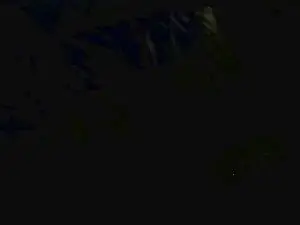 Cam4 Free Porn Cam of leaveitinsideme