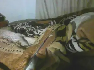 Cam4 Best live sex cam show of boie