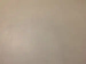 Cam4 Live Porn of Javierapalacios