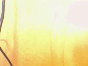 Cam4 Best Webcam of pollonbig07