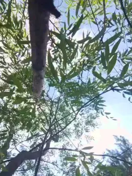 Cam4 Live Porn of RUSbiNN