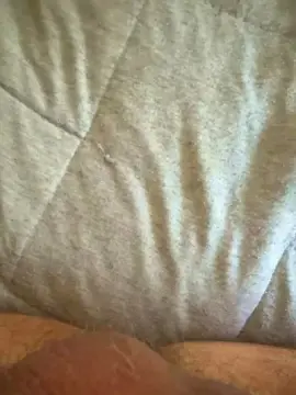 Cam4 Free Live Porn of johnjohnsonmhot