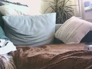 Cam4 Live Sex Cam of Mao53io68