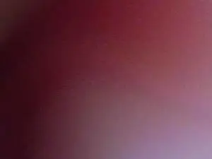 Cam4 Live Porn of Gapermaker