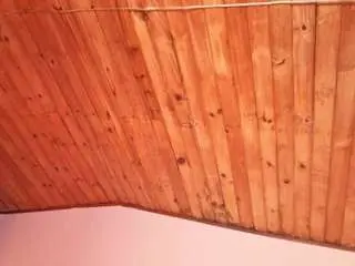 Camsoda Watch Live Sex Cams of emmygomez