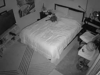 Camsoda Adult Video Chat of voyeurcam-hornyhostel-01