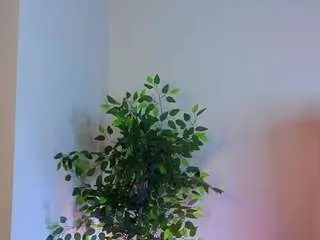 Camsoda Free Porn Cam of jessrosen