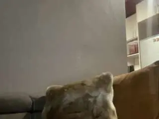 Camsoda Free Live Porn of kingtgc