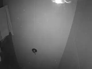 Camsoda Live Sex Cam of voyeurcam-casa-salsa-bathroom-11