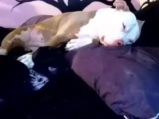 Camsoda Best Webcam of 1800fu