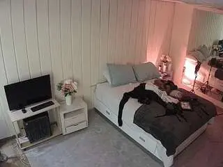 Camsoda Free Porn Cam of voyeurcam-casa-salsa-bedroom-5