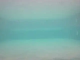 Camsoda Free Porn Cam of voyeurcam-casa-salsa-pool-1