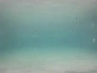 Camsoda Free Live Porn of voyeurcam-casa-salsa-pool-1