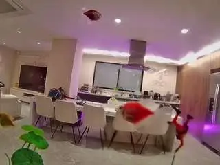 Camsoda Free Live Porn of voyeurcam-casa-salsa-fishtank