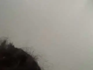Camsoda Sex Cam of tonifavuzzi
