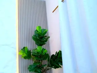 Camsoda Adult Webcams of laurenrodriguez