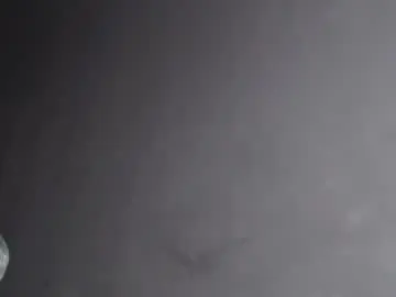 Chaturbate Private Sex Chat of darktinashe