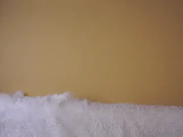 Chaturbate Best Webcam of britthe