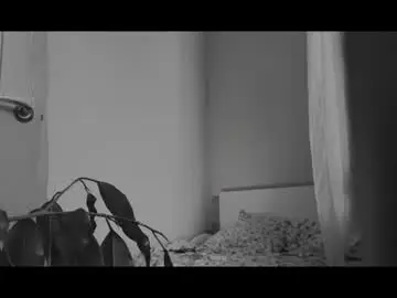 Chaturbate Best Webcam of oh_lilith
