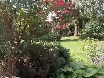Chaturbate Nude Webcam of patry333